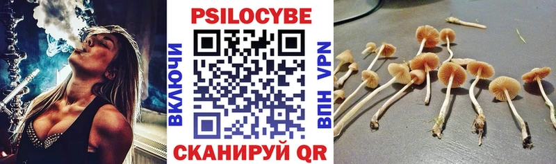 Галлюциногенные грибы Psilocybe  Купить  Анапа 